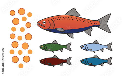 Vibrant salmon fish species assortment with bubbles for aquatic life science and nature art