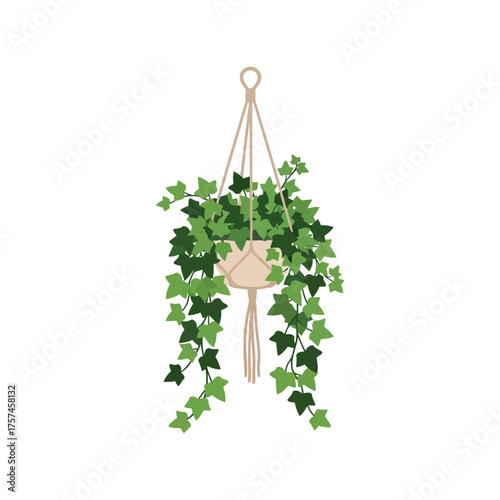 Bohemian macrame plant hanger with lush green ivy for chic home decor and indoor gardening vector