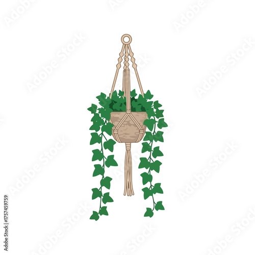 Bohemian macrame plant hanger with trailing green ivy artificial plant indoor outdoor decor vector