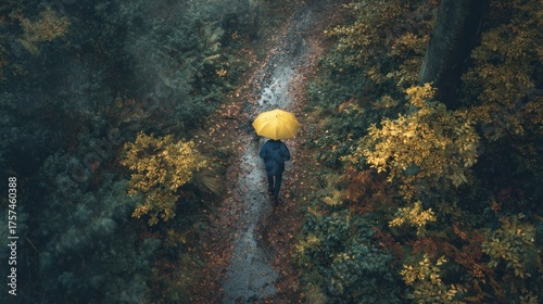 Solitary Figure with Yellow Umbrella Walks Rainy Autumn Forest Path, Aerial View