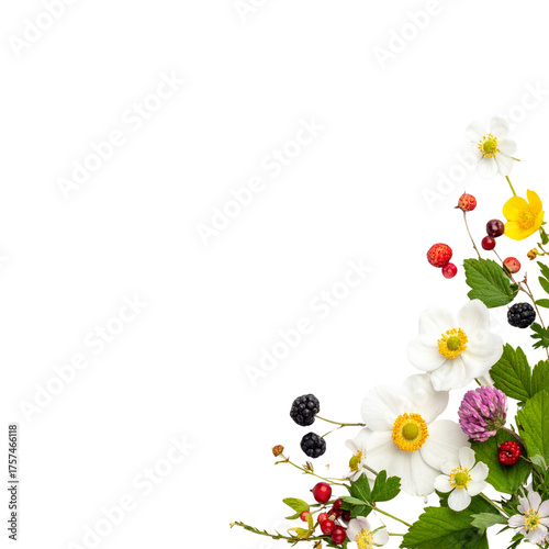 Colorful Berry and Flower Arrangement Black Background