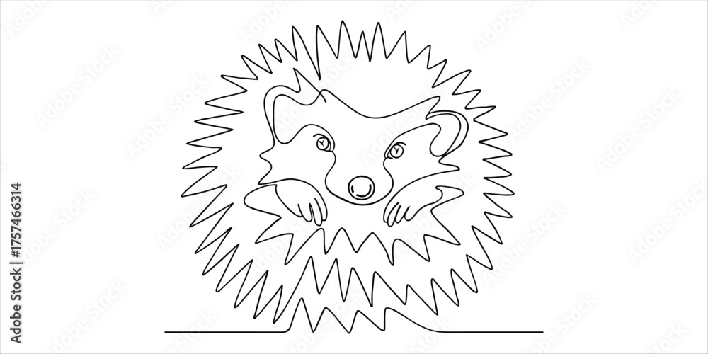 Obraz premium European hedgehog curled up in a ball, spines visible, ready to protect itself continuous single line art drawing sketch on white background