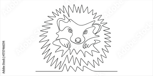 European hedgehog curled up in a ball, spines visible, ready to protect itself continuous single line art drawing sketch on white background