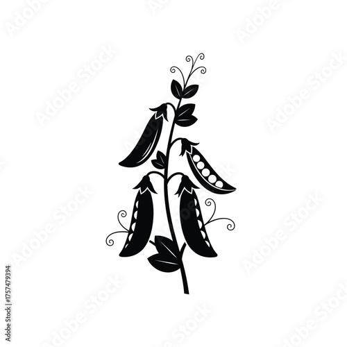 Vintage pea pod plant silhouette