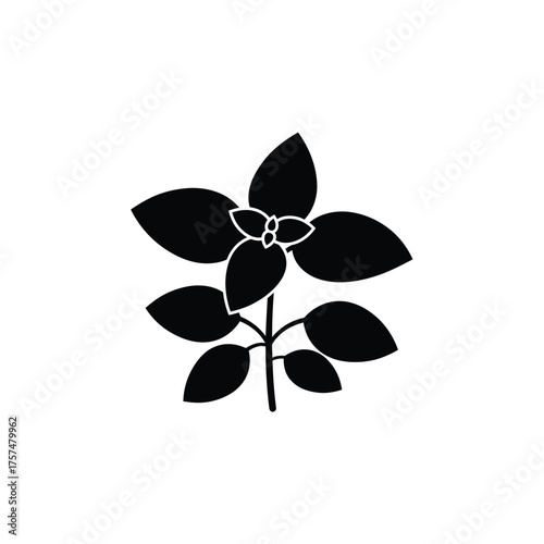 Black silhouette of a basil plant silhouette