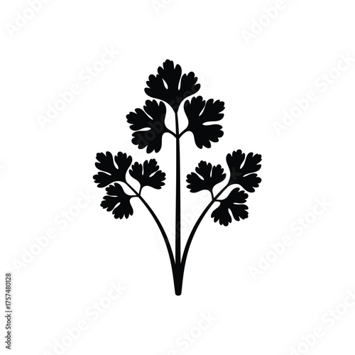 Black silhouette of a delicate herb branch silhouette