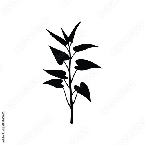 Black silhouette of a delicate plant stem with leaves