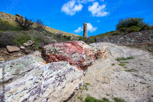Foto A fossilized tree trunk from the UNESCO Geopark Petrified Forest of Sigri on the island of Lesvos in Greece