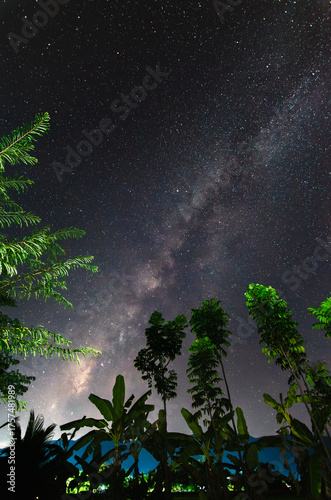 Milky Way shining, trees and mountains, starry night, space landscape with milky way, night view, travel background, concept.