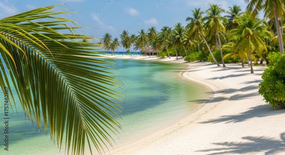 Obraz premium A tropical beach with palm trees and a clear blue sky.