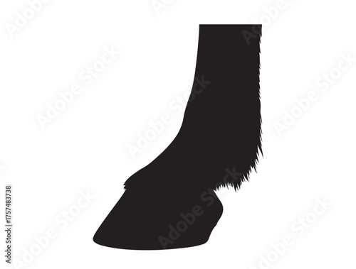 Hoof in silhouette pure white background..