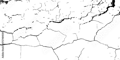 Show the texture of drought-stricken land, fragmented into irregular shapes by dark cracks spreading outward in stark contrast."
