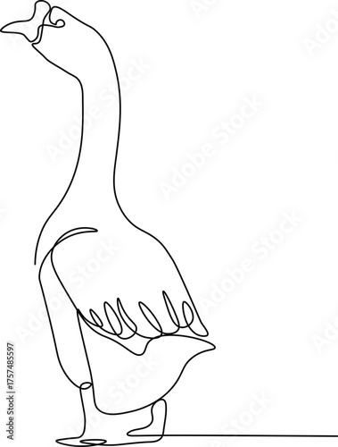 Continuous Line Drawing of Goose. Minimalist Animal Vector Illustration