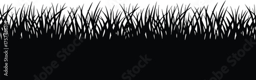 Black silhouette of grass blades against white background