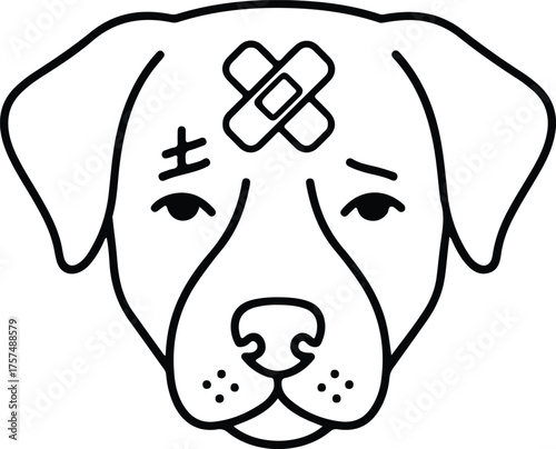 Sad dog face with bandaids on its head