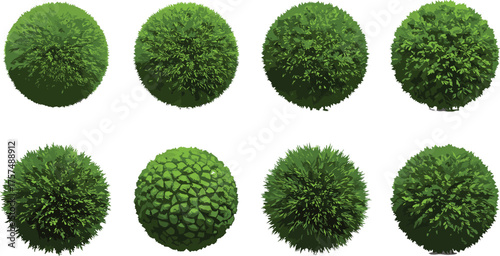 Realistic 3D Topiary Bush Set, Green Leafy Garden Plants, Decorative Shrubs for Landscape Design, Game Assets, Nature Illustration Collection