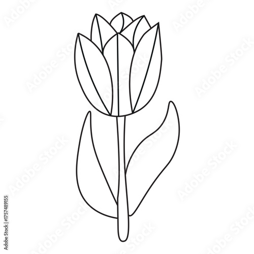 A minimalist line art single tulip flower with two leaves, on white background