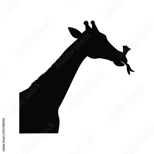 Black Silhouette of a Giraffe Eating with its Tongue Sticking Out Proudly, giraffe licking nose silhouette vector illustration