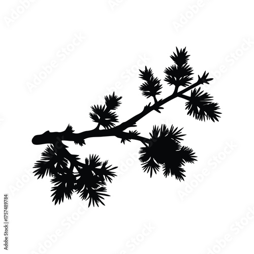 Silhouette of a coniferous tree branch with spiky needles against a white background, larch branch silhouette vector illustration