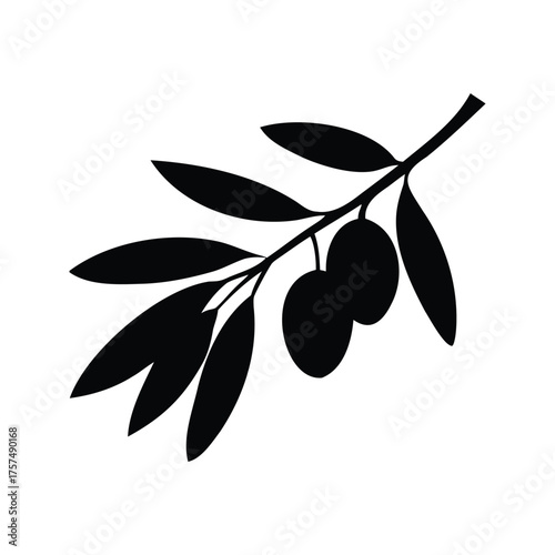 Elegant silhouette of olive branch with ripe olives, a symbol of peace, olive branch silhouette vector illustration