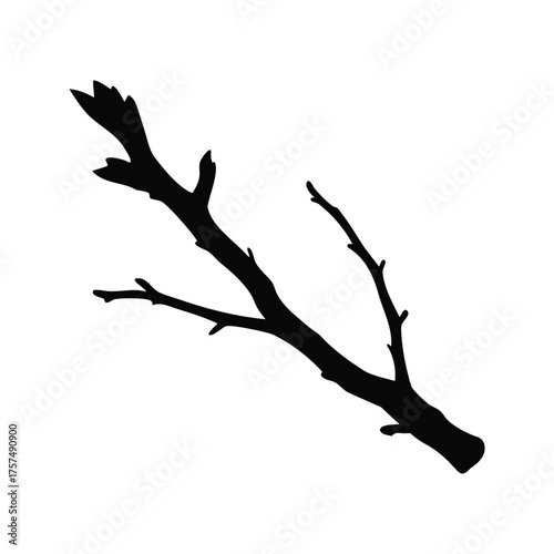 Silhouette of a dormant tree branch with potential buds waiting for spring, dry twig silhouette vector illustration