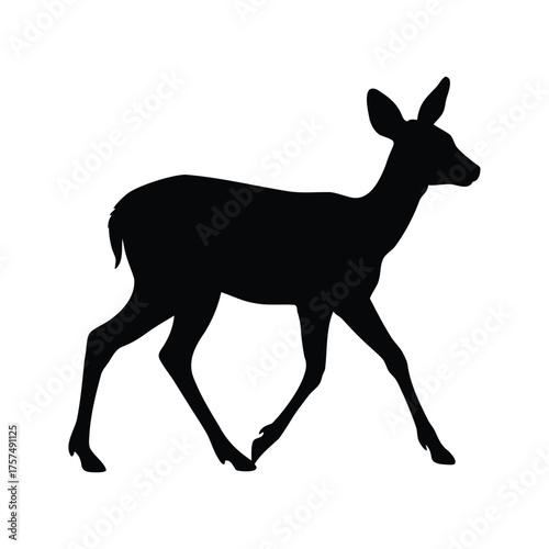 Silhouette of a Graceful Deer Walking Calmly Against a Pure White Background, fawn walking silhouette vector illustration