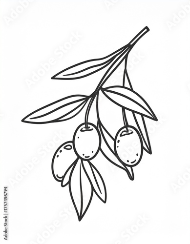 Olive branch with ripe olives and leaves, a symbol of peace and abundance found in nature