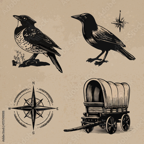 Vintage engraved illustrations set with forest birds, detailed compass roses, and a classic covered wagon, capturing travel and nature themes.