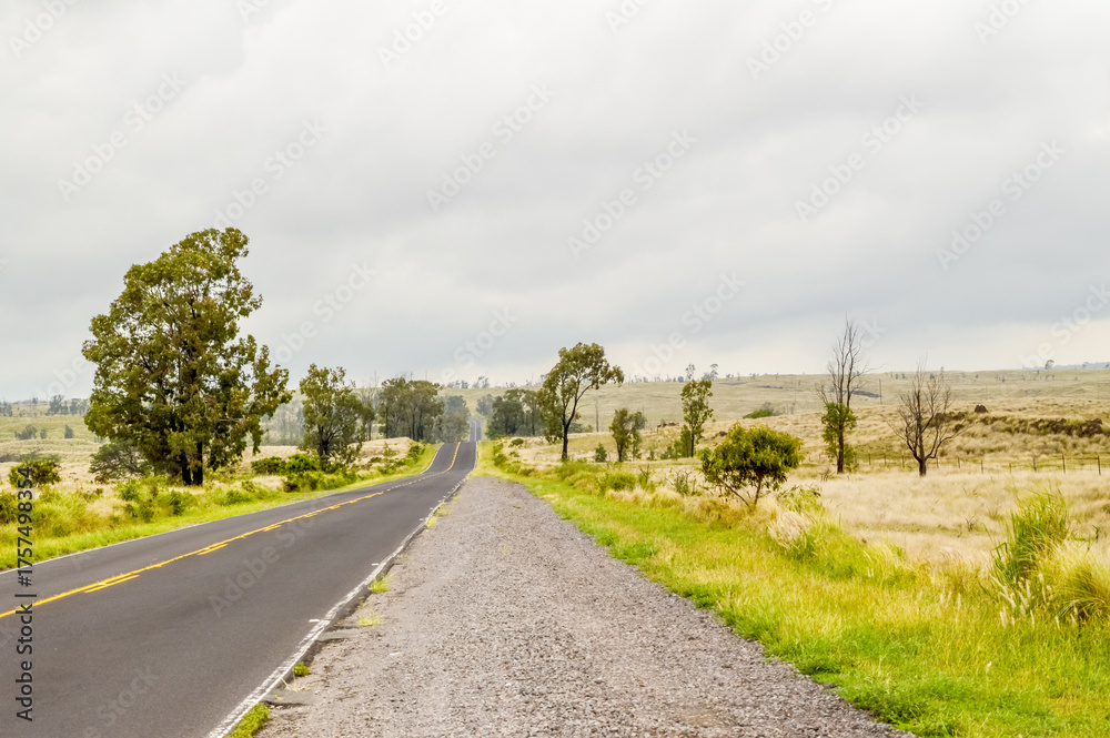 Fototapeta premium Roadtrip Hawaii 