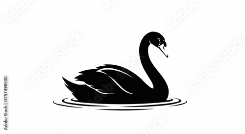 Elegant black swan gracefully glides on serene water ripples