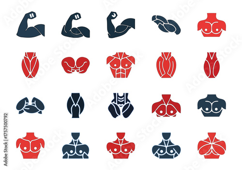 Muscle Man Anatomy Illustration Icon Pack