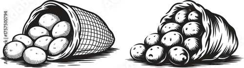 Hand drawn illustration of two baskets overflowing with apples