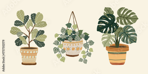 Flat cozy illustration of indoor plants 