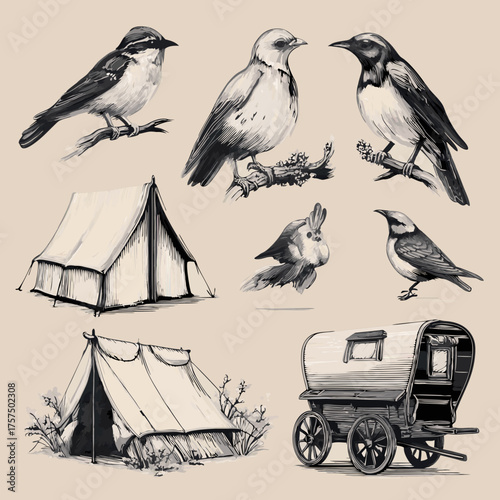 Vintage hand-drawn illustrations set of wild birds, rustic camping tents, and a traditional nomadic wagon for adventure and outdoor themes.