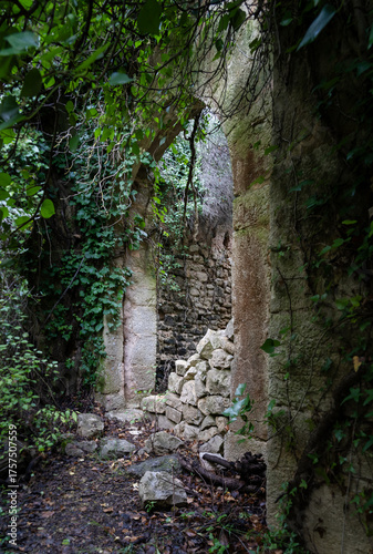 Ancient and overgrown stone arch of an ancient castle