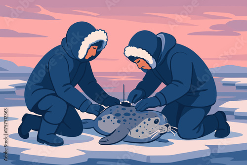 Researchers tag a seal on the ice during sunset in a polar region
