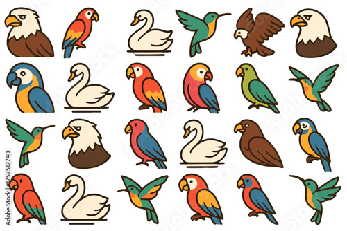Colorful collection of illustrated birds featuring various species in a clear, playful style for educational purposes