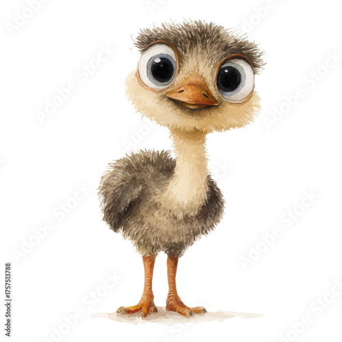 watercolor of Ostrich Chick, vector, isolated on a white background.