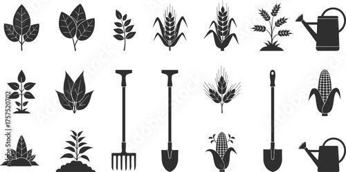 Agriculture and farming tools icon set, plant and leaf silhouette, gardening shovel, rake, corn and wheat vector illustration