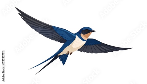 A vibrant illustration of a swallow in mid-flight, showcasing its blue, brown, and white plumage against a clean white backdrop