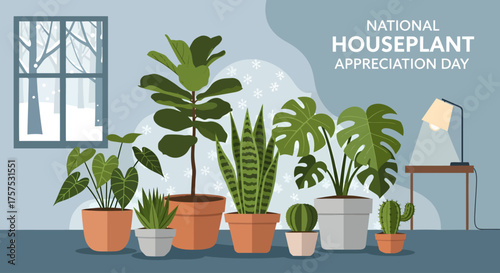 A collection of various potted houseplants celebrating National Houseplant Appreciation Day in a cozy room.