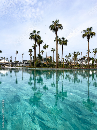 Fototapeta Palm Trees Reflected In Clear Blue Pool Water Outdoors At Daytime, Concept Of Su