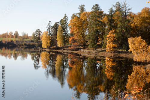 autumn trees reflected in water