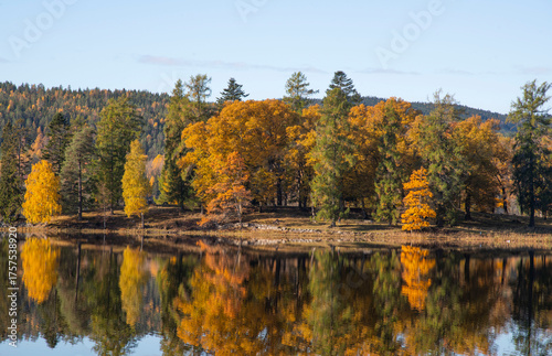 autumn in Norway 