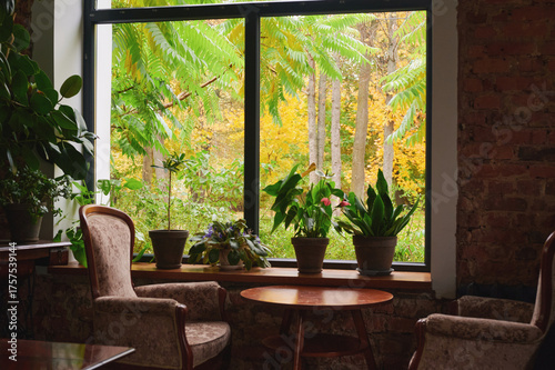 Konstfotografi cozy interior with plants and window showcasing lush greenery and autumn scenery
