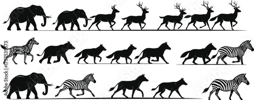 Animal silhouettes, walking and running, wildlife motion study, zebra, elephant, deer, canine gait, dynamic poses, animal locomotion, black silhouettes, comparison