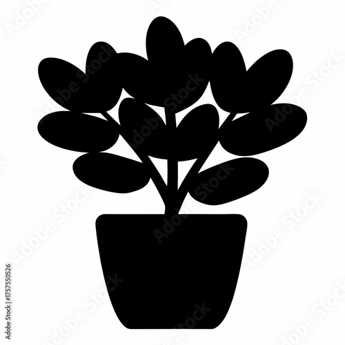 Black silhouette of a houseplant with rounded leaves in a decorative pot