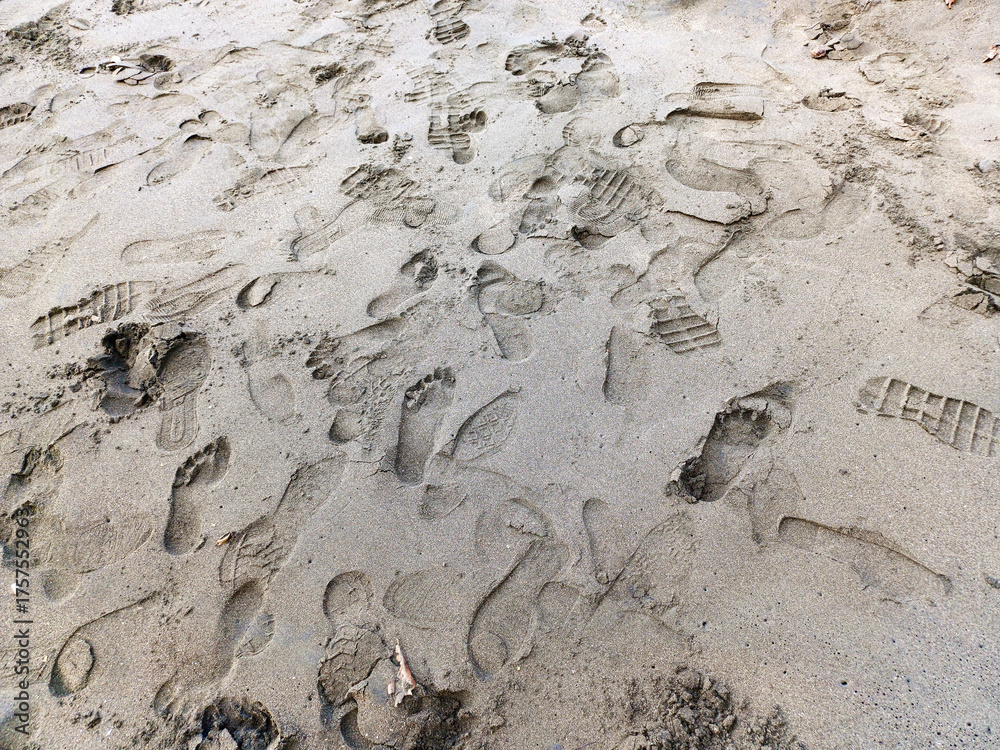 Obraz premium Close-up, high-angle view of multiple human footprints and shoe prints scattered on wet sand. Represents travel, destination, history, adventure, or human presence in nature.