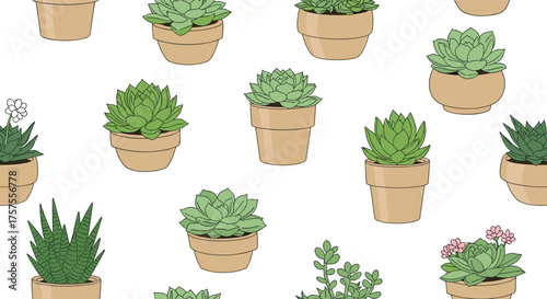 A delightful collection of potted succulents featuring diverse textures and colors on a clean white background.
