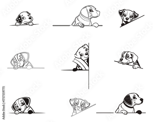 Nine charming black and white line art drawings of Dalmatians in various playful poses, peeking over invisible borders